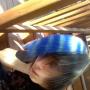 Zachary Mccann Photo 14
