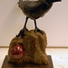 Peter Wolk Photo 26