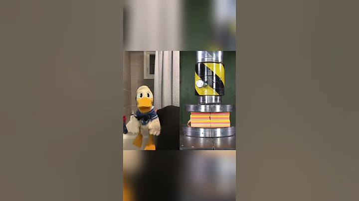 Donald See Photo 16