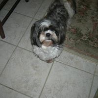 Quincy Wiley Photo 2
