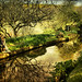 Devon Ponds Photo 11