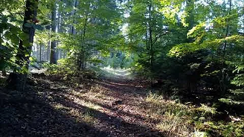 John Stickle Photo 8
