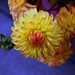 S Swaminathan Photo 27