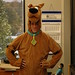 Ron Feinbaum Photo 11