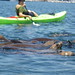 Christine Seals Photo 18