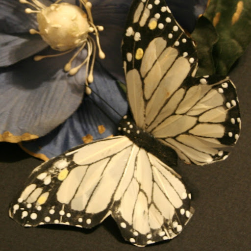 Cynthia Maddox Photo 11