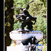 Joaquin Maya Photo 12