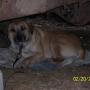 Marie Helton Photo 13