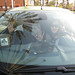 Sandy Harris Photo 47