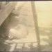 George Southall Photo 9