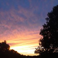 Sharon Hillis Photo 3