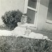 Linda Bradshaw Photo 35