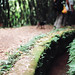 Ming Yung Photo 22