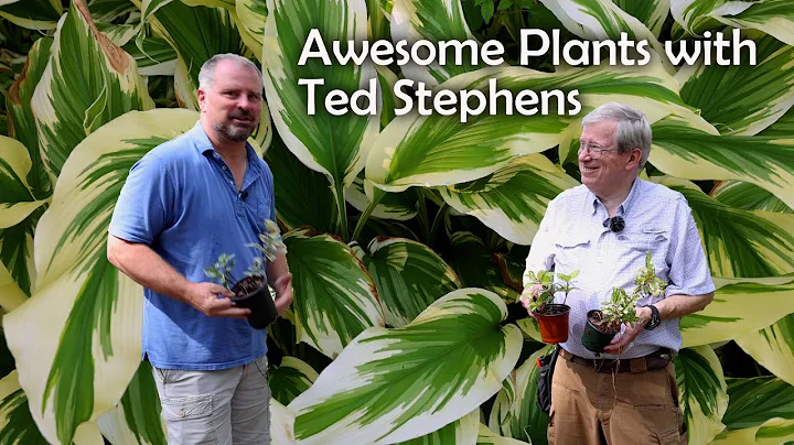 Ted Stephens Photo 30