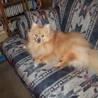 Doris Huffman Photo 5
