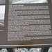 Judith South Photo 22