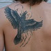 Jerry Crow Photo 41
