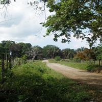 Michael Newland Photo 5