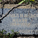 Gabriel Mcdaniel Photo 20