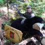 Matt Hiatt Photo 19