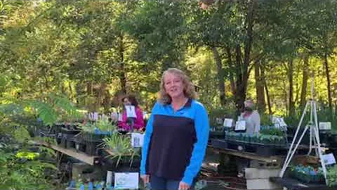 Julie Borneman Photo 10