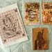 Alice Craft Photo 36