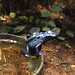 Eric Bothwell Photo 16