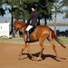 Candice Rushing Photo 21
