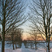 Milton Winter Photo 27