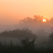 Dawn Moors Photo 17
