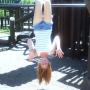 Amanda Mccollum Photo 24