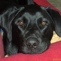 Cathy Mcwilliams Photo 3