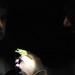 David Scheele Photo 19