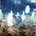 Katherine Hedges Photo 18