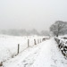 Spencer Lane Photo 43