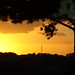 Lisa Pilon Photo 31
