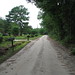 Harold Haynes Photo 41