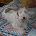 Paulette Fox Photo 35