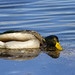 Eric Forsythe Photo 38