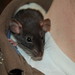 Ashley Coots Photo 25