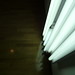 Donald Guenther Photo 24