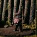 Mark Kershner Photo 21