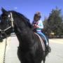 Gretchen Callahan Photo 15