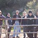 Judith Weis Photo 20