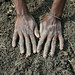 Gene Land Photo 16