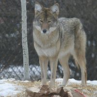 David Dicken Photo 5