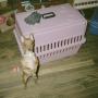 Donna Laird Photo 25