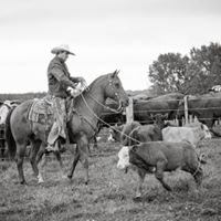 Andrew Jamison Photo 8