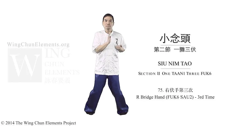 Wing Mak Photo 25
