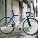 Angelo Cinelli Photo 13